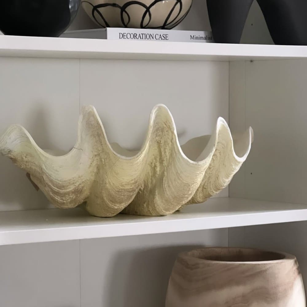 צדף ענק דקורטיבי